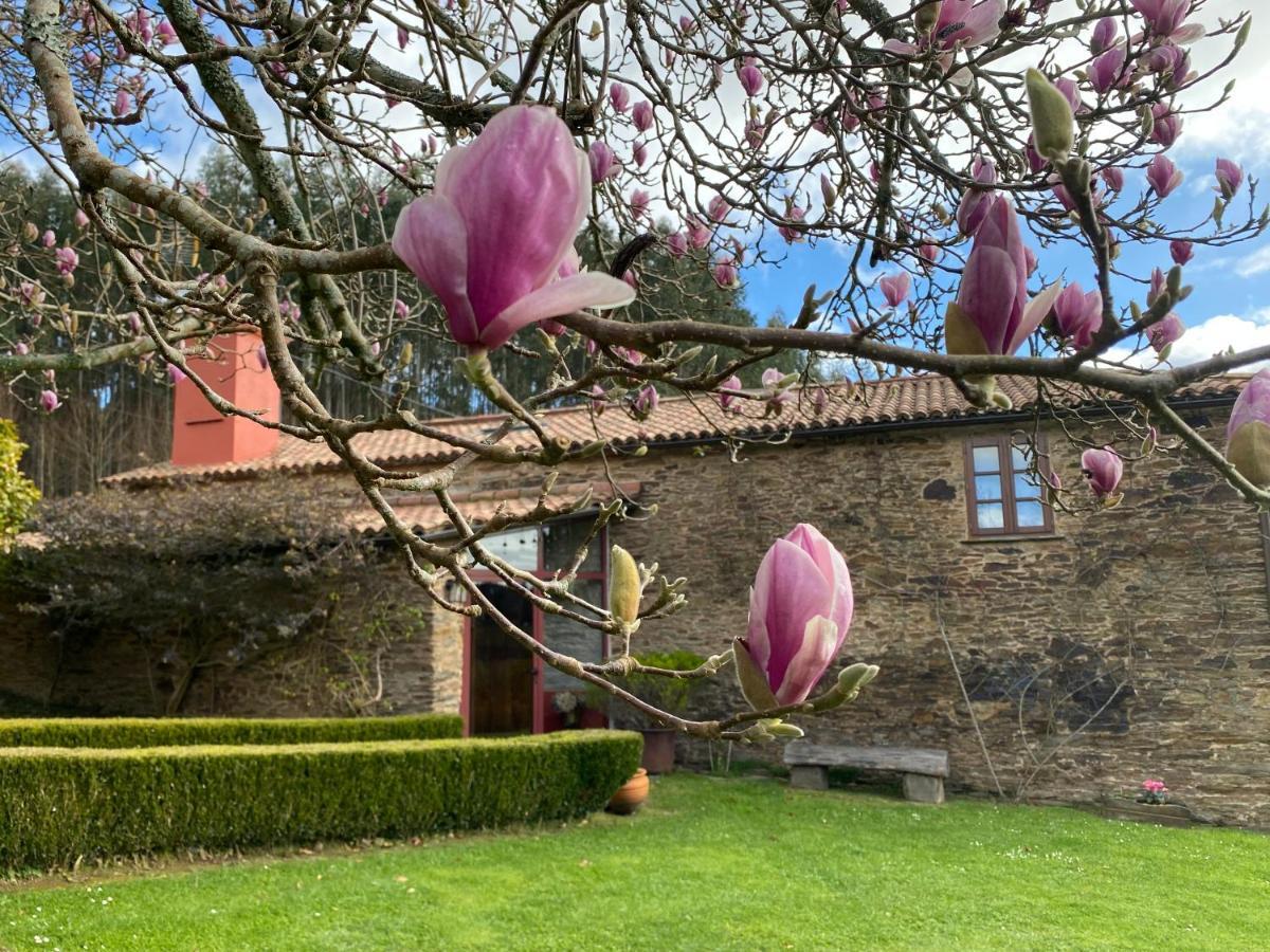 Villa Casa Castro De Crecente Valdoviño Exterior foto